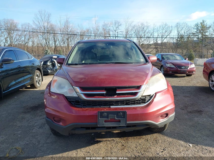 2010 Honda Cr-V Exl VIN: JHLRE4875AC013721 Lot: 43810688