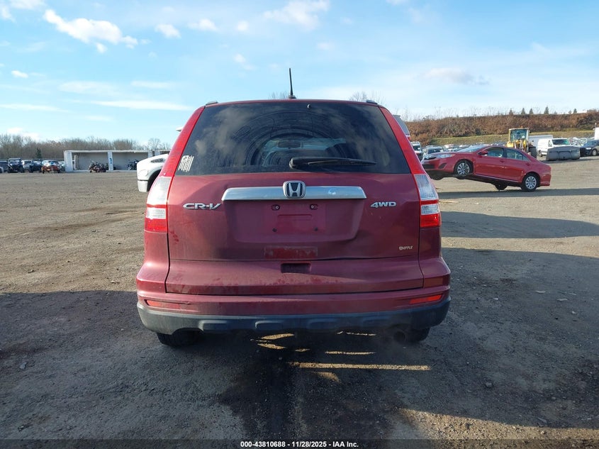 2010 Honda Cr-V Exl VIN: JHLRE4875AC013721 Lot: 43810688