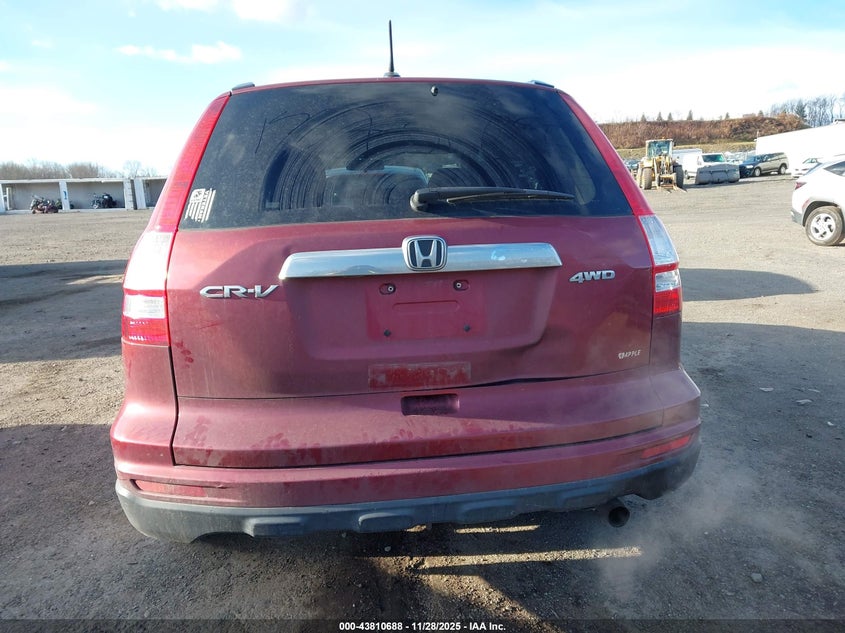 2010 Honda Cr-V Exl VIN: JHLRE4875AC013721 Lot: 43810688