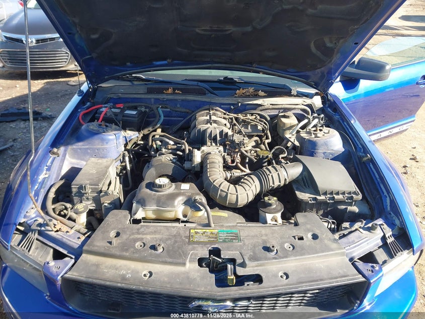 2005 Ford Mustang V6 Deluxe/V6 Premium VIN: 1ZVFT80N455145187 Lot: 43810779