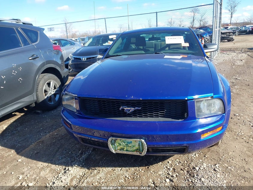 2005 Ford Mustang V6 Deluxe/V6 Premium VIN: 1ZVFT80N455145187 Lot: 43810779