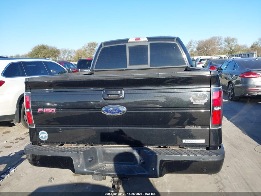 2013 Ford F-150 Fx4 VIN: 1FTFW1ET3DFE04625 Lot: 43810812