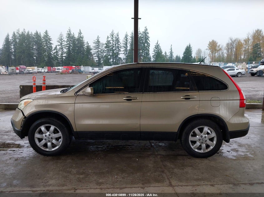 2008 Honda Cr-V Ex-L VIN: JHLRE48738C074558 Lot: 43810899