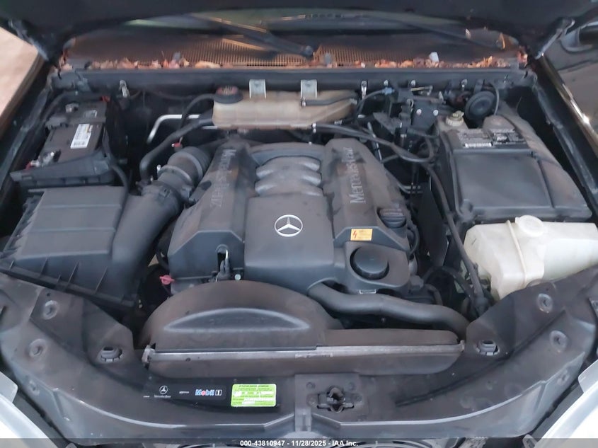 2003 Mercedes-Benz Ml 350 VIN: 4JGAB57E83A434612 Lot: 43810947