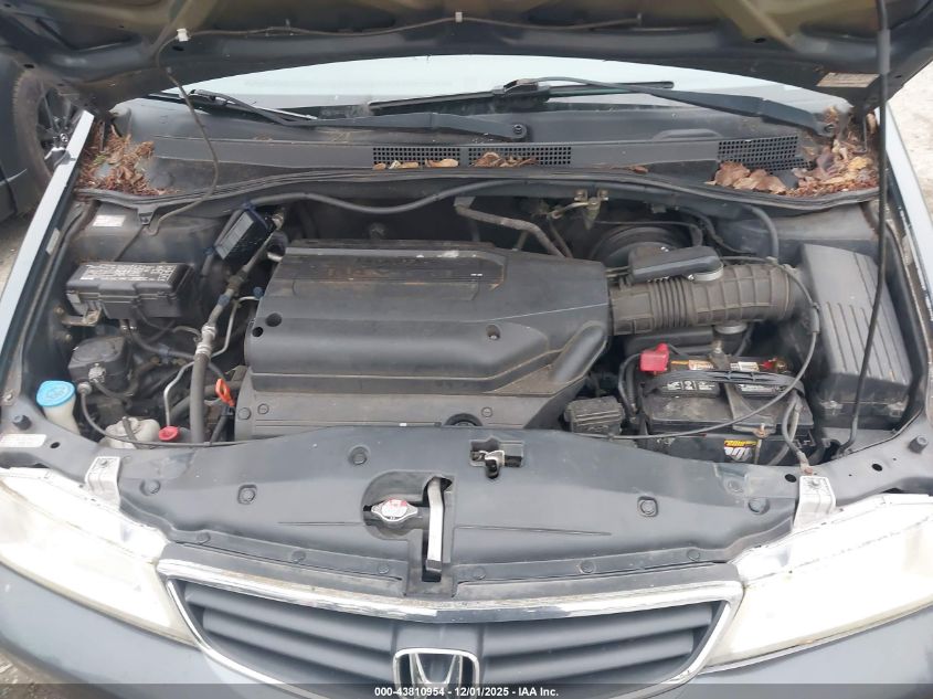 2004 Honda Odyssey Ex-L VIN: 5FNRL18074B053021 Lot: 43810954