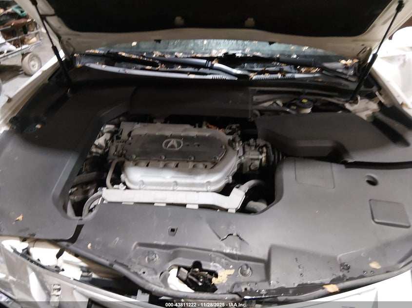 2009 Acura Tl 3.5 VIN: 19UUA86509A015980 Lot: 43811222