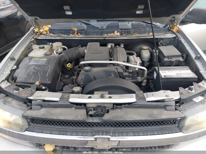 2005 Chevrolet Trailblazer VIN: 1GNDT135942293989 Lot: 43811282