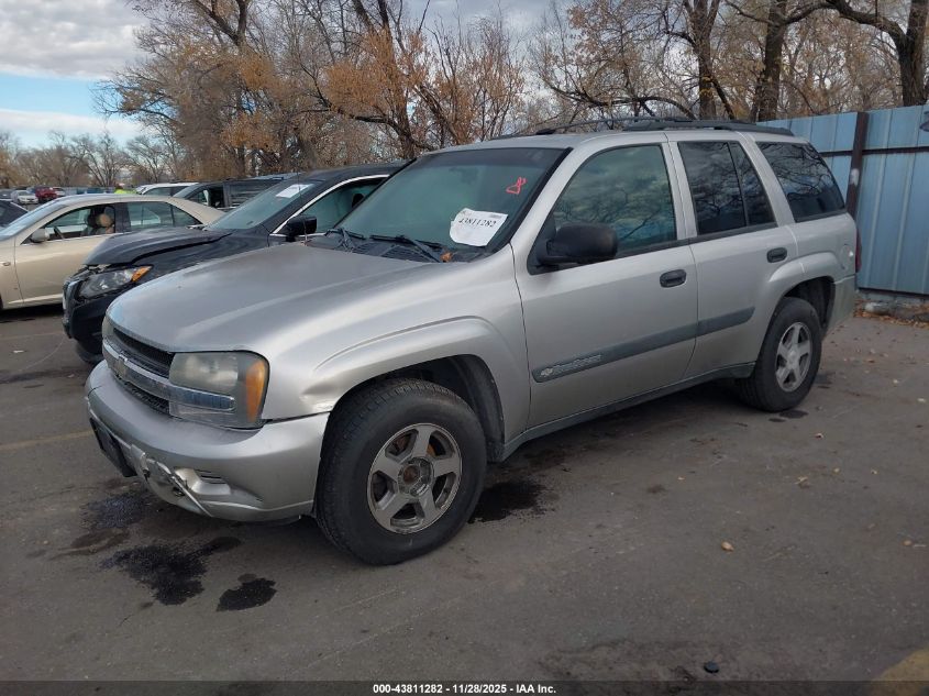 2005 Chevrolet Trailblazer VIN: 1GNDT135942293989 Lot: 43811282