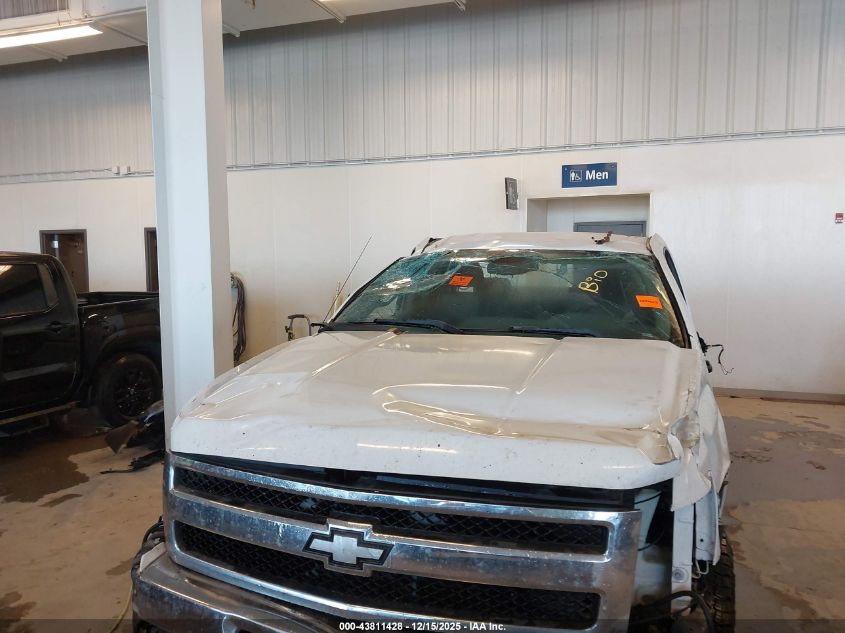 2009 Chevrolet Silverado 1500 Work Truck VIN: 1GCEK19C49Z199548 Lot: 43811428