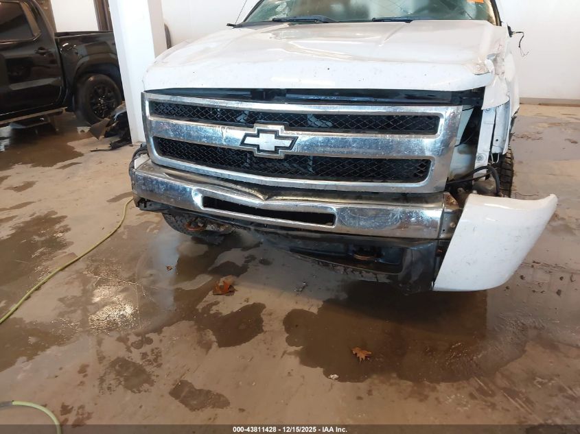 2009 Chevrolet Silverado 1500 Work Truck VIN: 1GCEK19C49Z199548 Lot: 43811428