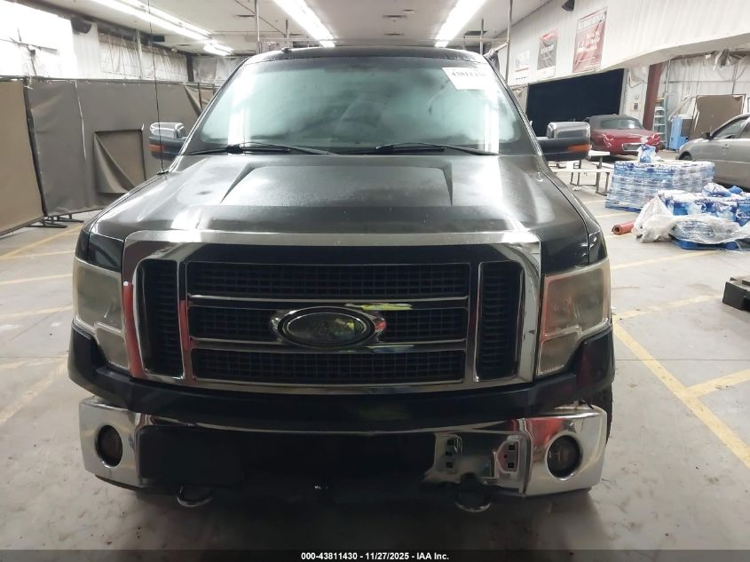 2009 Ford F-150 Fx4/King Ranch/Lariat/Platinum/Xl/Xlt VIN: 1FTPW14V99FB03095 Lot: 43811430