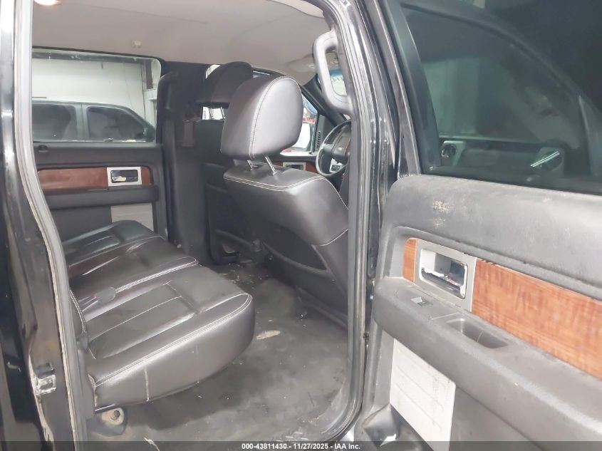 2009 Ford F-150 Fx4/King Ranch/Lariat/Platinum/Xl/Xlt VIN: 1FTPW14V99FB03095 Lot: 43811430