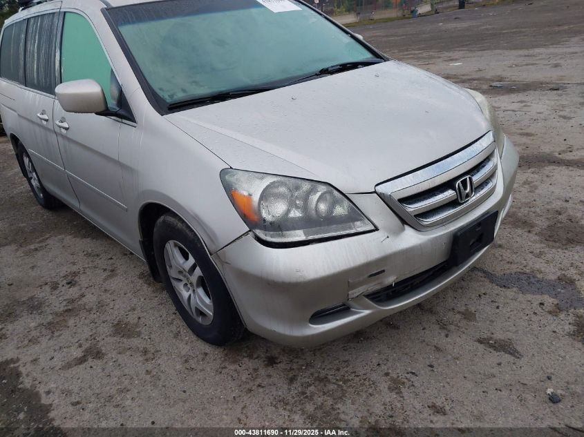 2006 Honda Odyssey Ex-L VIN: 5FNRL38796B435949 Lot: 43811690