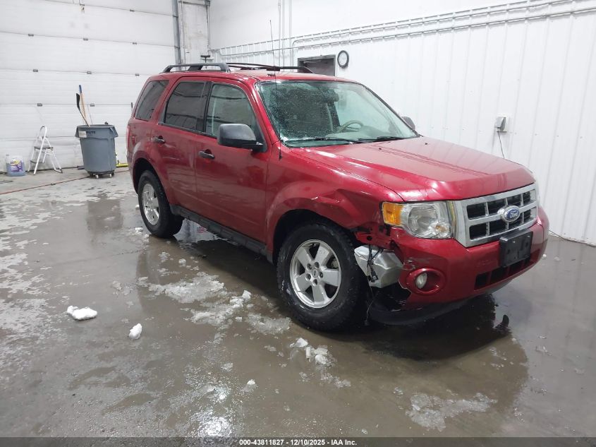 FORD ESCAPE XLT