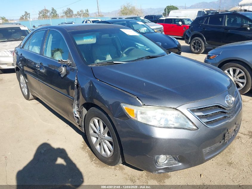 TOYOTA CAMRY XLE V6