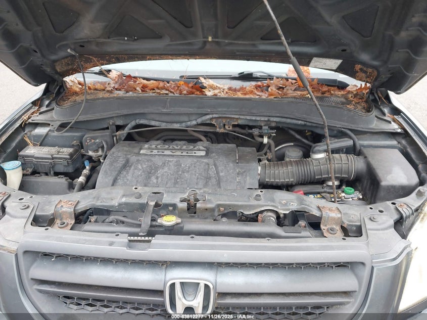 2005 Honda Pilot Ex-L VIN: 5FNYF18515B048865 Lot: 43812277