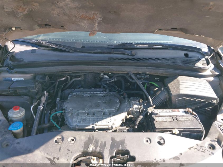 2005 Honda Odyssey Ex-L VIN: 5FNRL38705B051136 Lot: 43812524