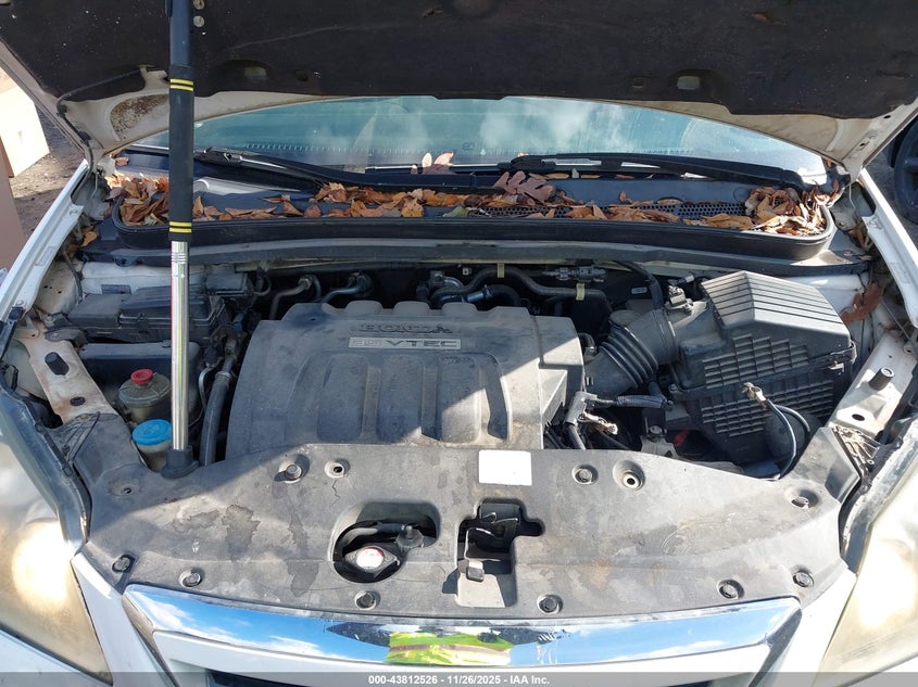 2007 Honda Odyssey Ex VIN: 5FNRL38497B141491 Lot: 43812526