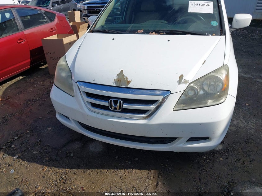 2007 Honda Odyssey Ex VIN: 5FNRL38497B141491 Lot: 43812526