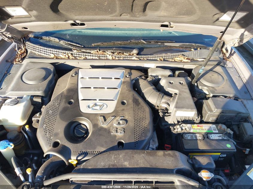 2006 Hyundai Azera Limited/Se VIN: KMHFC46F56A124896 Lot: 43812586