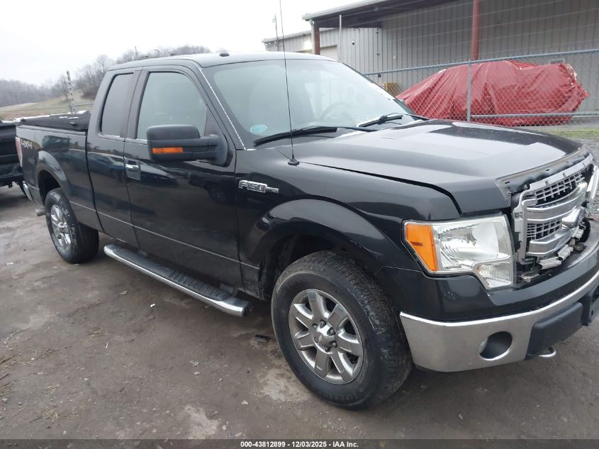 FORD F-150 XLT