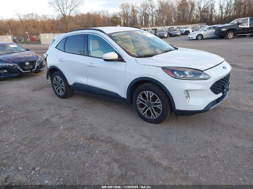 FORD ESCAPE SEL