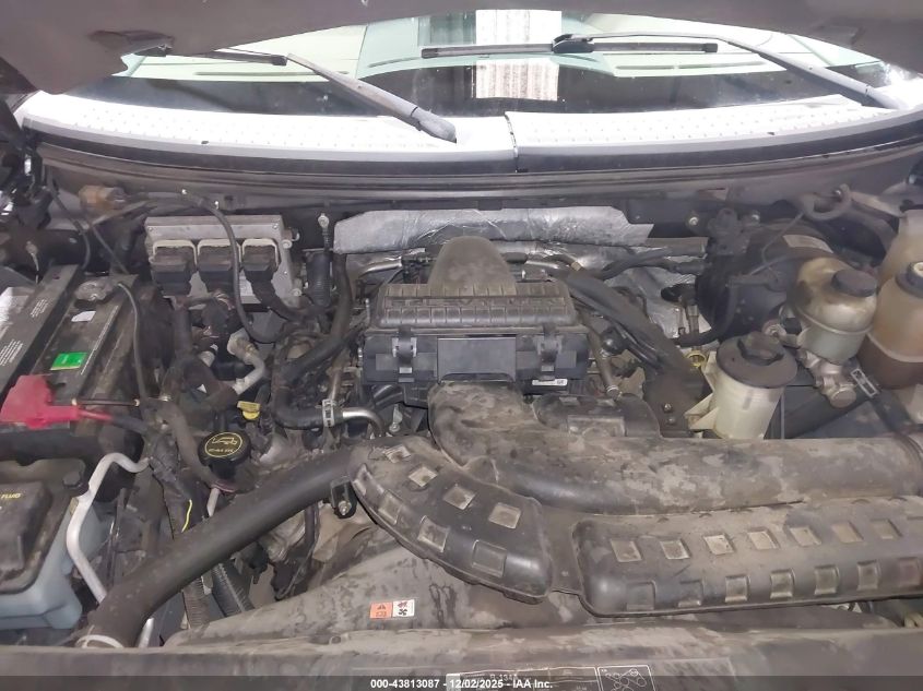 2006 Ford F-150 Lariat/Xl/Xlt VIN: 1FTPX12V86NA96772 Lot: 43813087