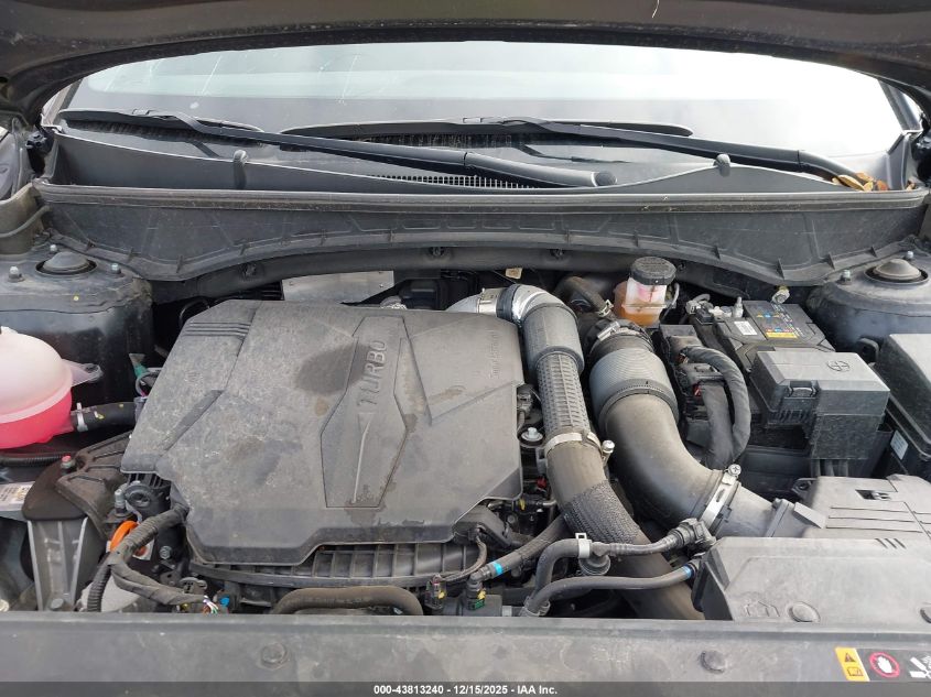 2024 Hyundai Santa Cruz Night VIN: 5NTJCDDF4RH103618 Lot: 43813240