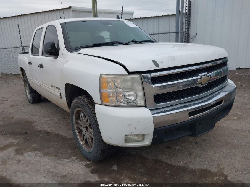 CHEVROLET SILVERADO 1500 LT