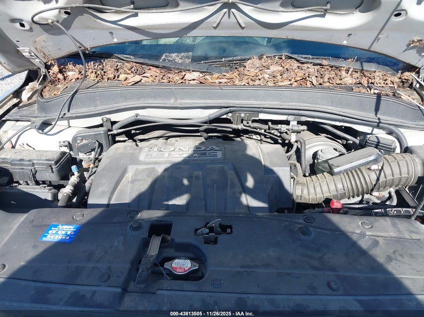 2006 Honda Pilot Ex-L VIN: 5FNYF28526B034870 Lot: 43813505