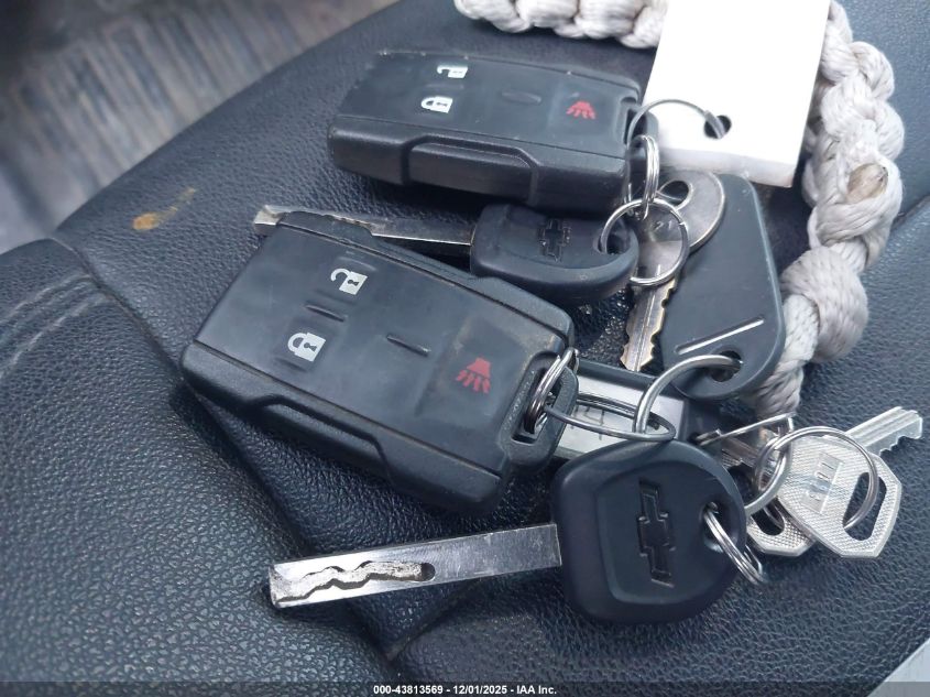 2023 Chevrolet Silverado 3500Hd Chassis Work Truck VIN: 1GB3YSEY6PF204846 Lot: 43813569