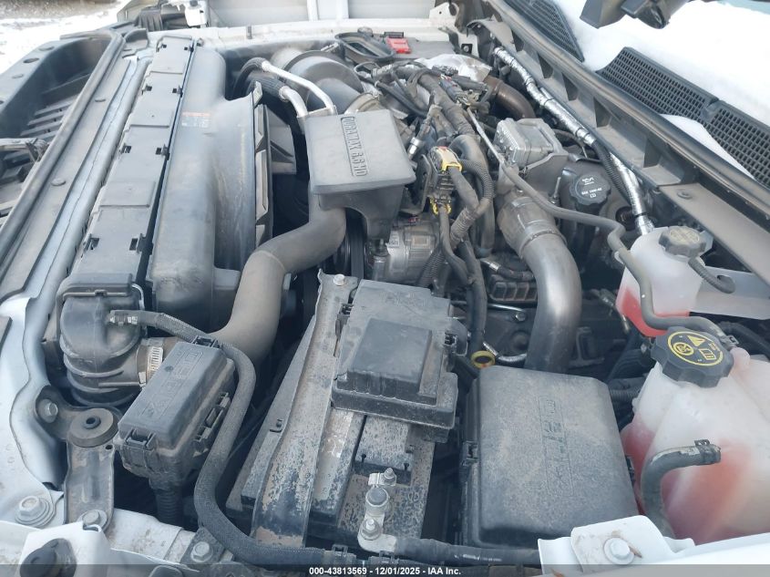 2023 Chevrolet Silverado 3500Hd Chassis Work Truck VIN: 1GB3YSEY6PF204846 Lot: 43813569