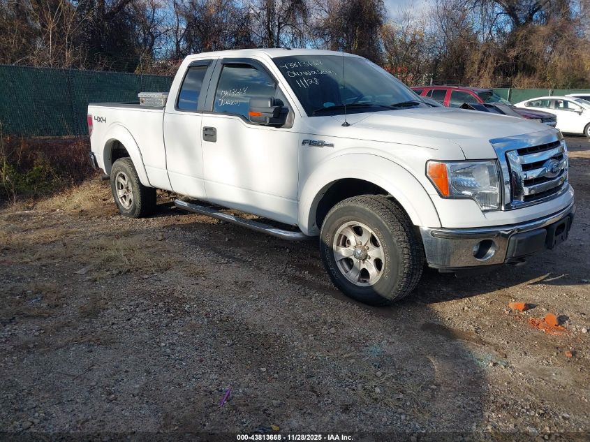 FORD F-150 XLT