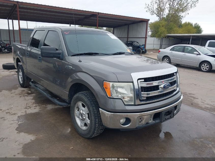 FORD F-150 XLT