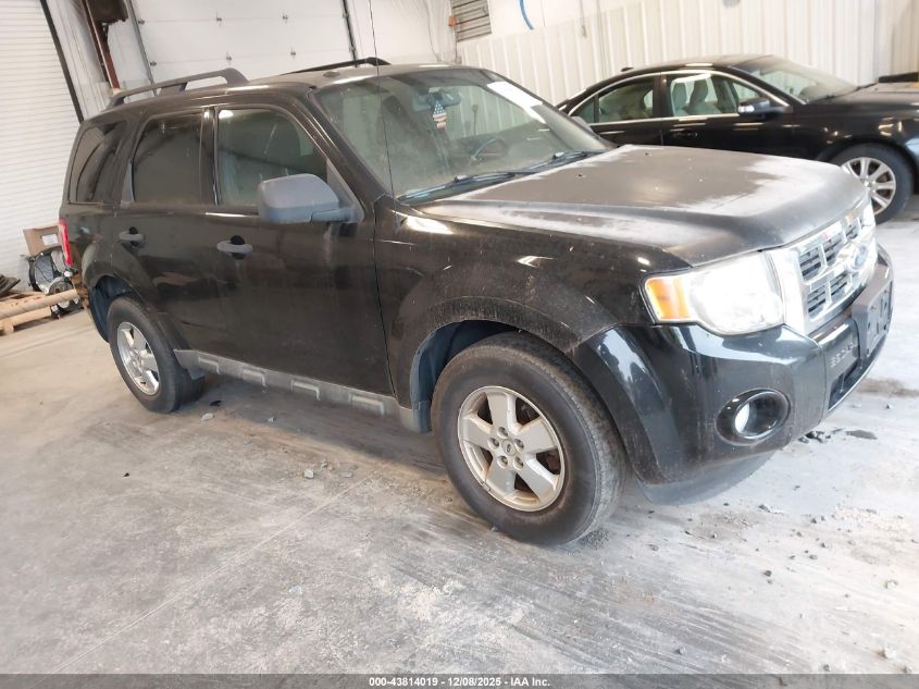 FORD ESCAPE XLT
