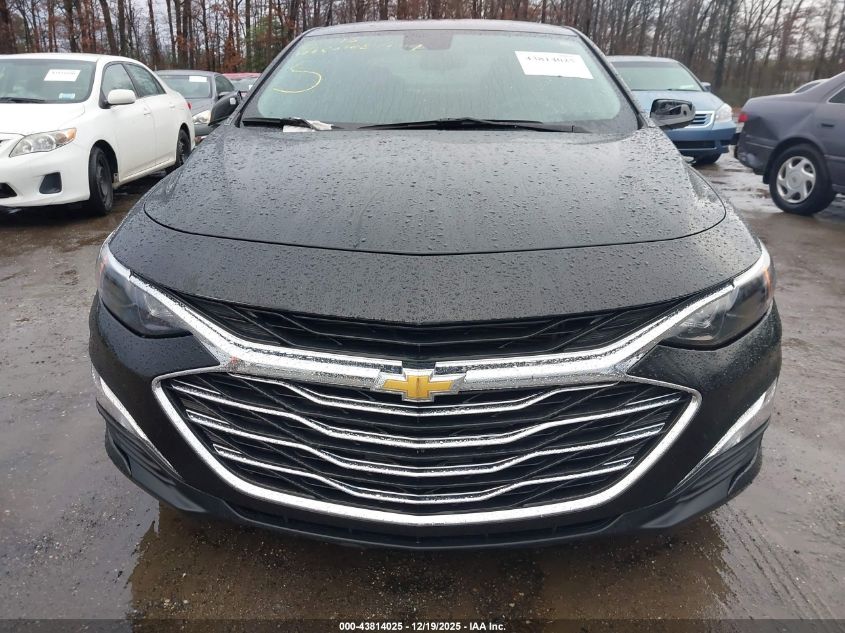 2023 Chevrolet Malibu Fwd 1Fl VIN: 1G1ZC5ST7PF247616 Lot: 43814025