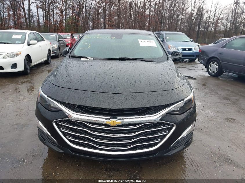 2023 Chevrolet Malibu Fwd 1Fl VIN: 1G1ZC5ST7PF247616 Lot: 43814025