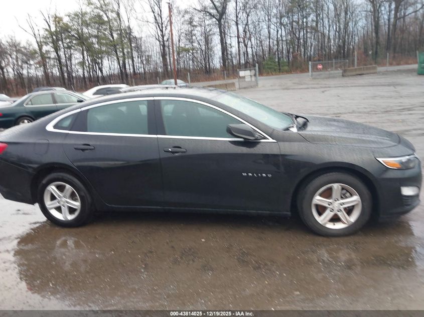 2023 Chevrolet Malibu Fwd 1Fl VIN: 1G1ZC5ST7PF247616 Lot: 43814025