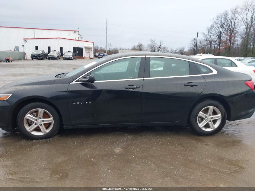 2023 Chevrolet Malibu Fwd 1Fl VIN: 1G1ZC5ST7PF247616 Lot: 43814025