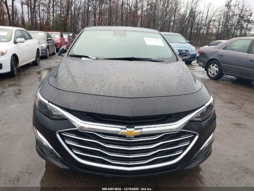 2023 Chevrolet Malibu Fwd 1Fl VIN: 1G1ZC5ST7PF247616 Lot: 43814025