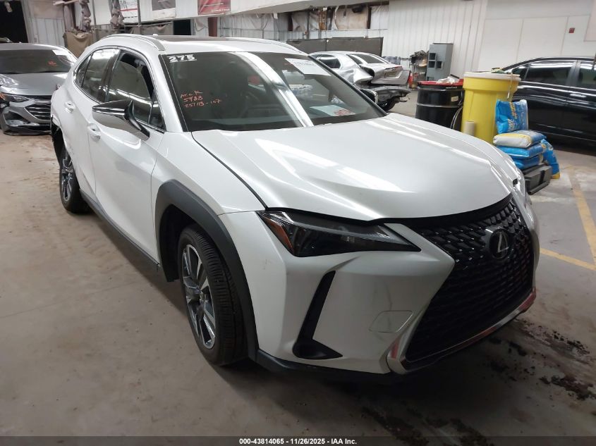 LEXUS UX 300H