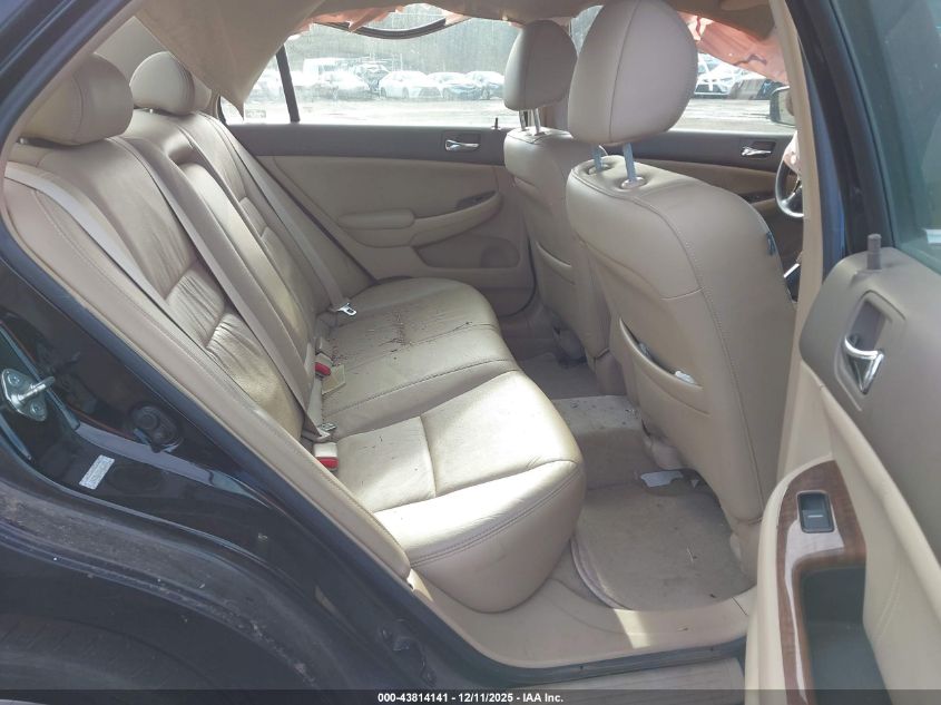 2006 Honda Accord 3.0 Ex VIN: 1HGCM66556A075031 Lot: 43814141