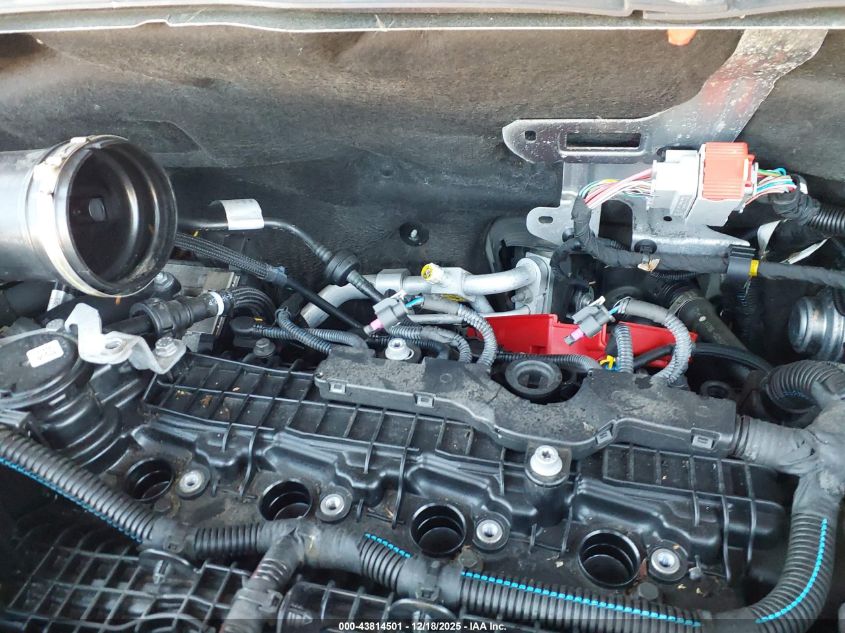 2024 Dodge Hornet R/T Plus Eawd VIN: ZACPDFDW8R3A16157 Lot: 43814501