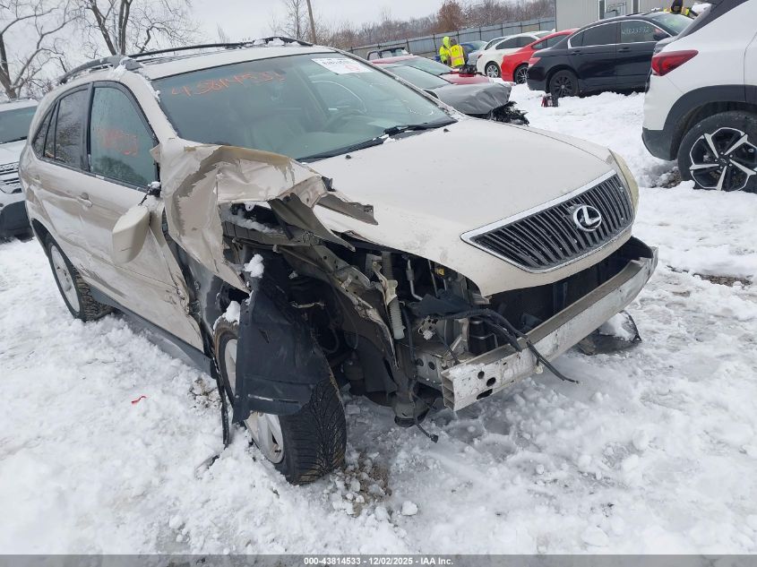 2004 Lexus Rx 330 VIN: 2T2GA31U04C008704 Lot: 43814533