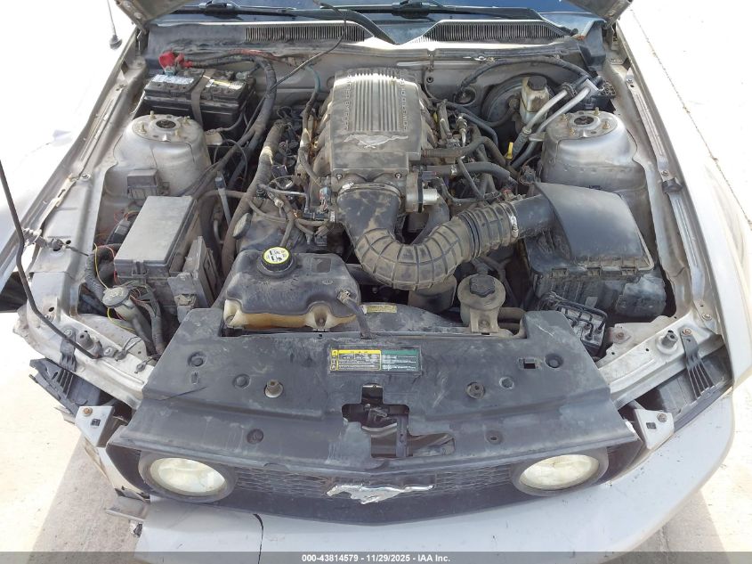 2009 Ford Mustang Gt/Gt Premium VIN: 1ZVHT85H795125937 Lot: 43814579