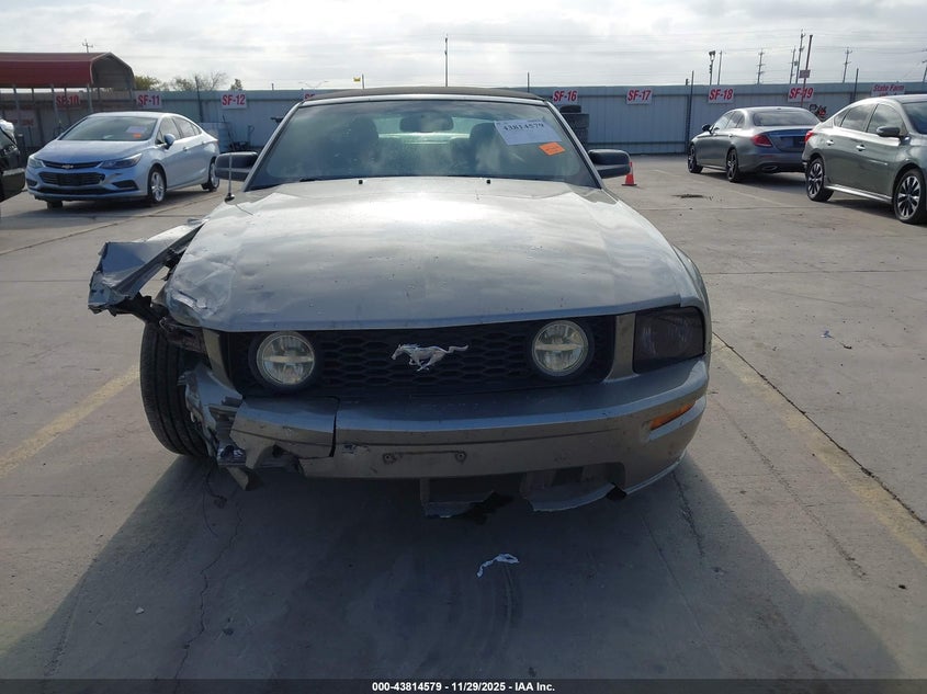 2009 Ford Mustang Gt/Gt Premium VIN: 1ZVHT85H795125937 Lot: 43814579