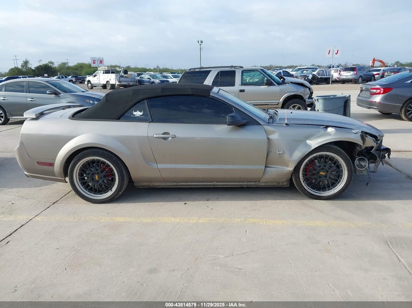 2009 Ford Mustang Gt/Gt Premium VIN: 1ZVHT85H795125937 Lot: 43814579