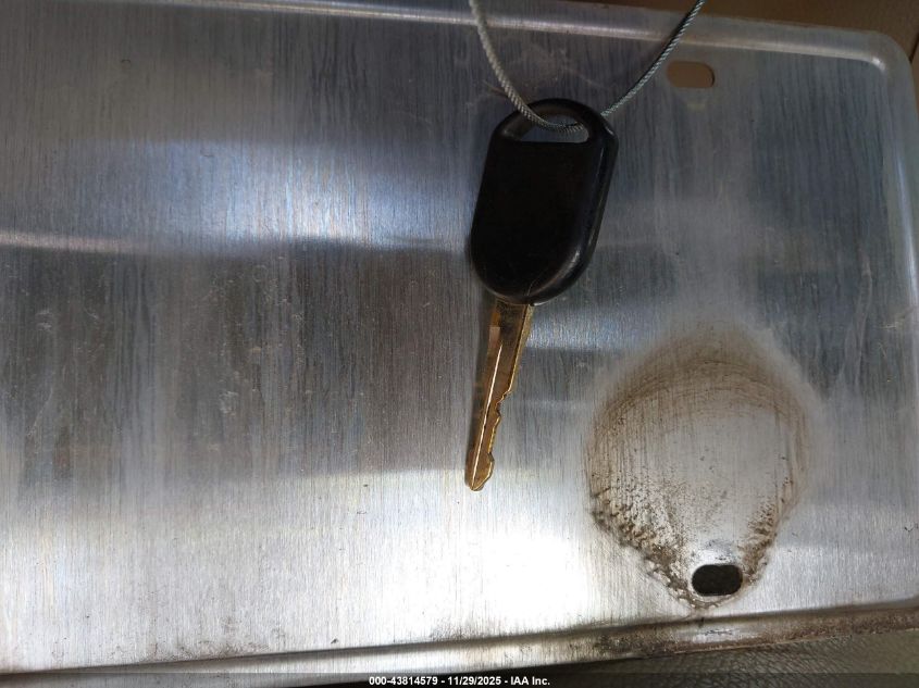 2009 Ford Mustang Gt/Gt Premium VIN: 1ZVHT85H795125937 Lot: 43814579