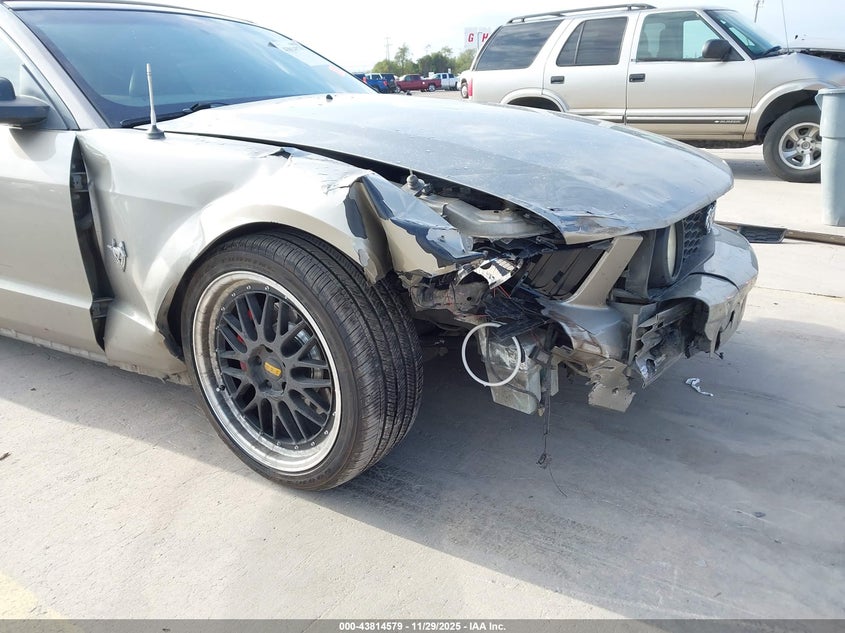 2009 Ford Mustang Gt/Gt Premium VIN: 1ZVHT85H795125937 Lot: 43814579