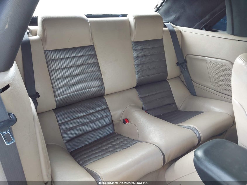 2009 Ford Mustang Gt/Gt Premium VIN: 1ZVHT85H795125937 Lot: 43814579